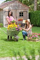 Young woman with wheel barrow and annuals