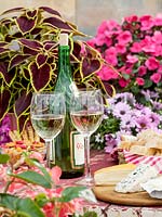 Cheese platter with wine and annuals
