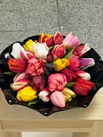 Tulipa mixed varieties in vase
