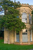 Ashton Court Park, Bristol, UK. Magnolia grandiflora trees growing against the mansion