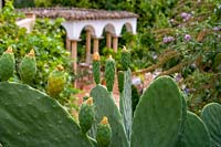 cacti in tropical garden, Molino Del Santo, Ronda, Spain