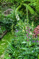 Helen Banbury's garden, Bristol, UK. small town garden, contemporary design and packed with plants,( PR available )