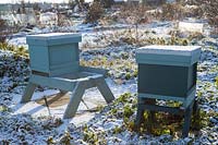Allotment on cold and snowy winter's day. Beehives
