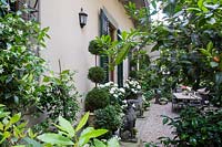 Palazzo Malenchini, Florence, Italy, chic courtyard garden with topiary and dog statues
