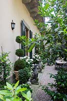 Palazzo Malenchini, Florence, Italy, chic courtyard garden with topiary and dog statues