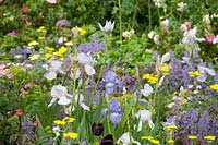 Chelsea Flower Show 2007, 'The Chris Beardshaw Garden' ( Chris Beardshaw ), loose informal 'tapestry' planting based on Hidcote Garden