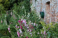 Cerney Gardens, Gloucestershire. Walled kitchen garden in summer with Hollyhocks