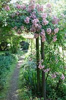 Cerney Gardens, Gloucestershire. Rose arch in summer.