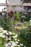 Roger and helen grimes' garden at beesands, devon in high summer. colourful seaside garden with lots of annuals.