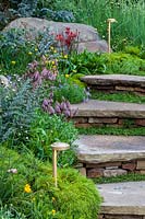 Chelsea Flower Show, 2013. Steps with lighting, leading through contemporary garden