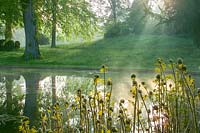 Forde Abbey, Somerset, UK. Summer, Osmunda regalis ( The Royal Fern ) growing at edge of the lake