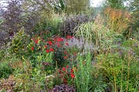 Special Plants ( Derry Watkin's garden ), Bath, UK. Late summer, colour themed informal border