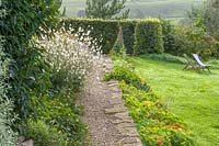 Special Plants ( Derry Watkin's garden ), Bath, UK. Late summer, gravel path between lawn and informal border