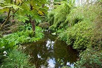 Compton Acres, Dorset, UK. shady wooded garden