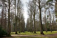 Woodland walk at Westonbirt arboretum, Gloucestershire