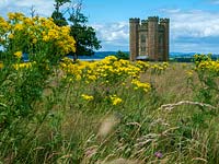 The folly on the Berkeley Estate, Gloucestershire, in a field of Ragwort