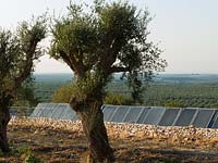Solar panels at edge of fields, Puglia, Italy