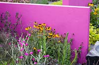 Hampton Court Flower Show. garden for Astellas Pharma designed by Jill M W Foxley, Brisght pink walls and fencing