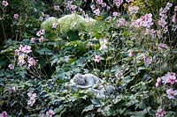 Jackie Healy's garden near Chepstow. Early autumn garden. 'Sleeping' statue amongst Anemone x hupehensis