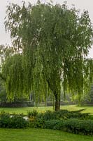 Hodges Barn, Gloucestershire, UK ( Hornby ) Weeping Willow tree over pond