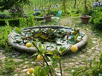 Parterre garden with small circular pond and lily pads at Locanda Casanuova, Tuscany, Italy