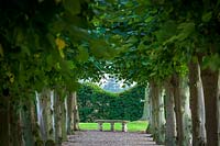 Hoar Cross Hall, Staffs,View along Pollarded Lime trees to a stone bench