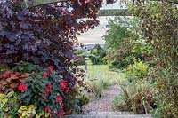 Little Ash Garden, Fenny Bridge, Devon. Autumn garden. View through wooden arch planted with Vitis vinifera 'Purpurea', Fuchsia 'Insulinde' in pot beneath