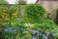 Yews Farm, Somerset, UK. Late summer and autumnal garden. The vegetable garden with bird scarer