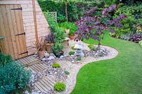 62 Hillcrest Rd, Nailsea, Somerset, UK. ( Andy Luft ) small town garden with good structure, interesting trees and shrubs. dry gravel area with oriental ( Japanese ) feel, Cercios canadensis 'Forest Pansy'