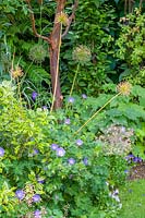 18 Queens Gate, Bristol, UK ( Sheila White ) small town garden in summer. Allium seedheads growing through Geranium 'Jolly Bee'