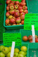 Pick Your Own Fruit and Vegetable farm, Somerset, UK ( Danny Wilson ) apples in truggs ready for sale