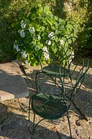 Villa La Foce, Tuscany, Italy. elegant metal chairs beneath pergola, in shade