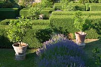 Villa La Foce, Tuscany, Italy. Large garden with topiary clipped Box hedging and views across the Tuscan countryside, the lemon or Citrus garden