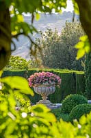 Villa La Foce, Tuscany, Italy. Large garden with topiary clipped Box hedging and views across the Tuscan countryside, large urn with Pelargonium