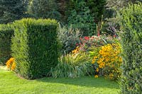Waterperry Garden, Oxfordshire. autumnal borders with formal Yew hedging