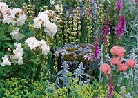 Sussex Country cottage garden in summer Mixed border with roses Rosa Penelope Poppies Sysirinchium striatum