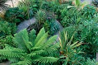 Waterford Lane Hampshire Design Peter Read small suburban town garden with exotic plants Front garden with circular path