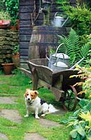 Alan Titchmarsh's garden Hampshire Pet dog in garden near shed and wheel barrow wheelbarrow