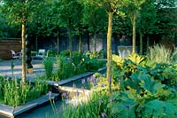 Chelsea FS 2000 Design Mark Anthony Walker Contemporary modern town garden Patio Pleached trees Formal water rill Iris