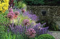Home Farm Hampshire Design Fiona Lawrenson herbaceus cool colour theme summer flower border with Allium christophii Lavender Nep