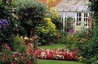 Cornmeadow Lane Worcestershire summer bedding Begonias and mixed shrubs with view of conservatory