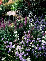 Hampton Court FS 1994 Design Marnie Hall bellflower Campanula percifolia in woodland shade garden