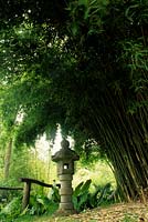 Stream Cottage Sussex bamboo Fargesia murieliae with Japanese stone wind temple statue