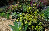 Thursley Lodge Surrey design Fiona Lawrenson dry gravel garden Euphorbia amagdaloides Purpurea