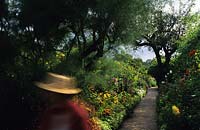 Monet's garden Giverny France path with late summer flowering annuals Garden visitor an impression