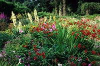 Munstead Wood Surrey Gertrude Jekyll garden the Summer garden with Crocosmia Lucifer and Yuccas in mixed border