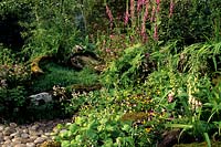 wild flower garden Design Diarmuid Gavin with foxgloves etc and rotting wood left for insect habitat