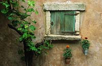 Chelsea FS 1997 Design Fiona Lawrenson Mediterranean garden with terra cotta colour washed wall and grape vine