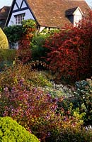 Eastgrove cottage garden in autumn with Ceratostigma willmottiana Berberis Tricolor Aster Snowflurry view of house