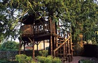 Tilford Cottage Surrey wooden tree house in yew tree